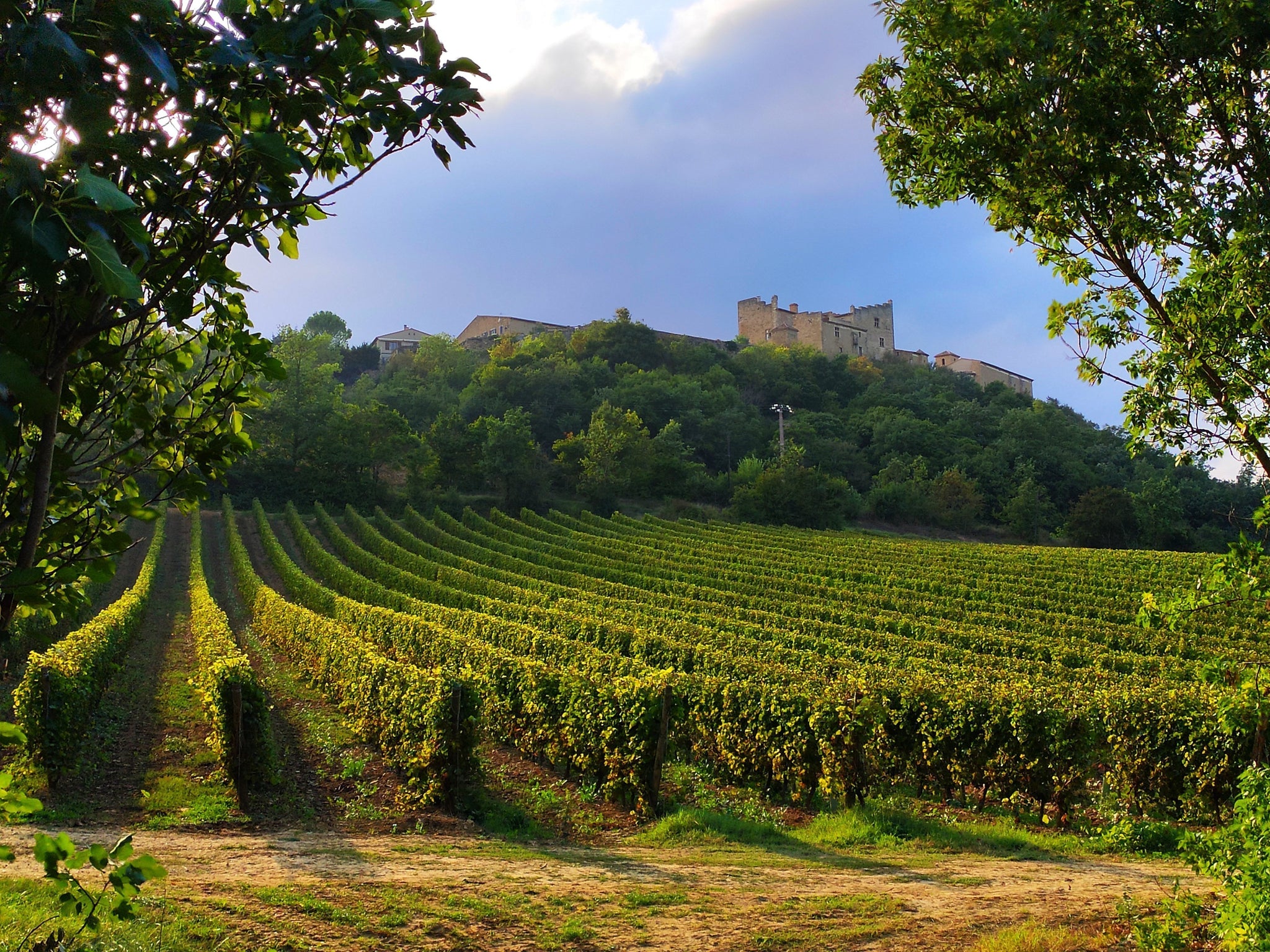 Château l'Hospitalet